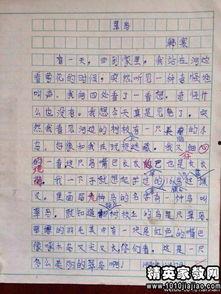 吃瓜群众的作文700字,吃瓜群众视角下的社会百态