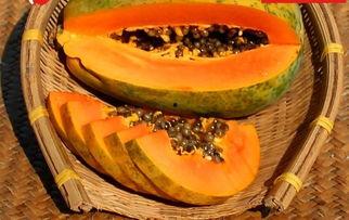 吃瓜官方入口,带你领略最新潮流资讯